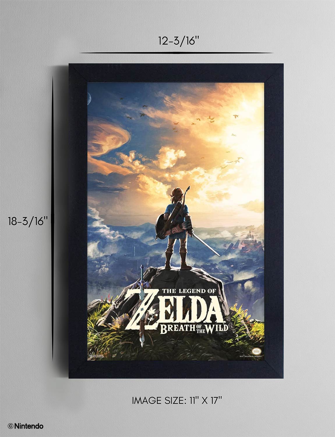 Zelda™: Breath of the Wild Hyrule Framed Poster (11x17) - Official Nintendo Wall Art - packaging