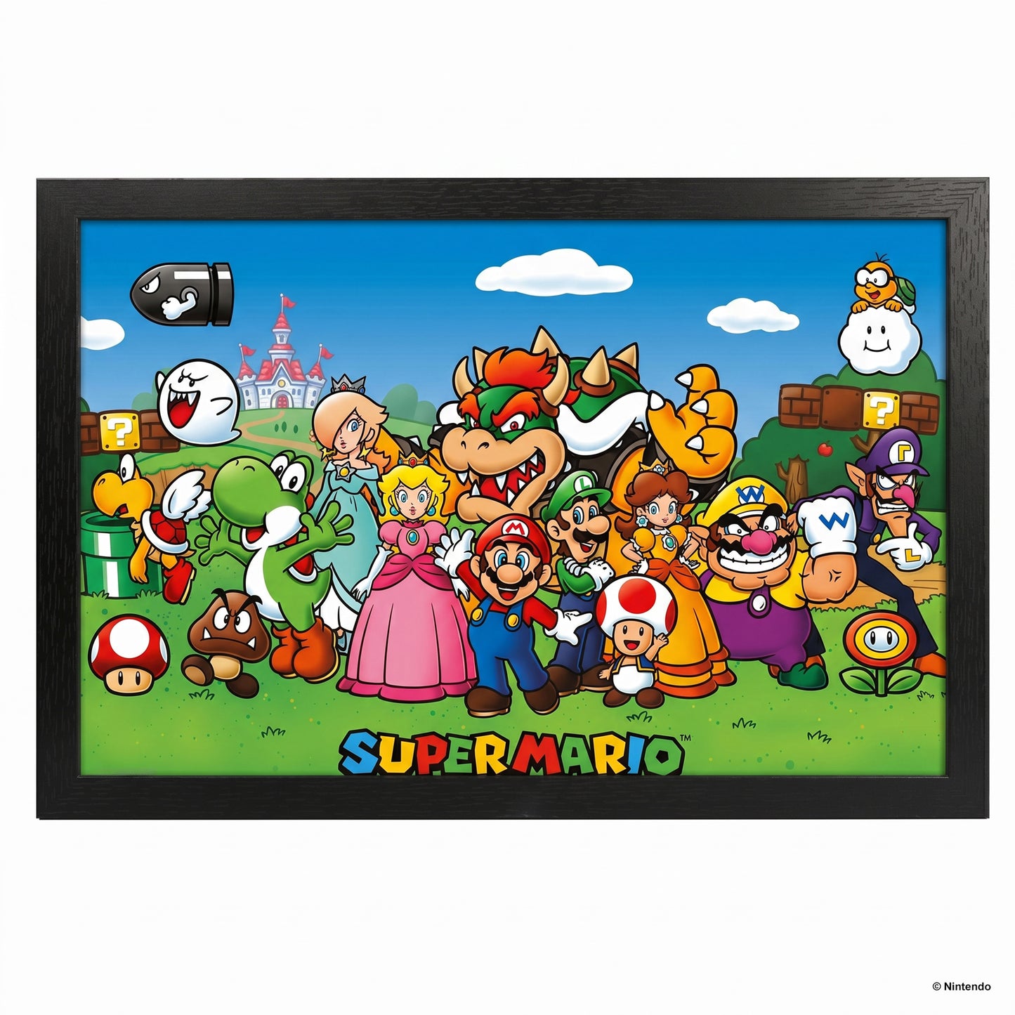 Super Mario - Characters - 11x17 Framed Gel Coat