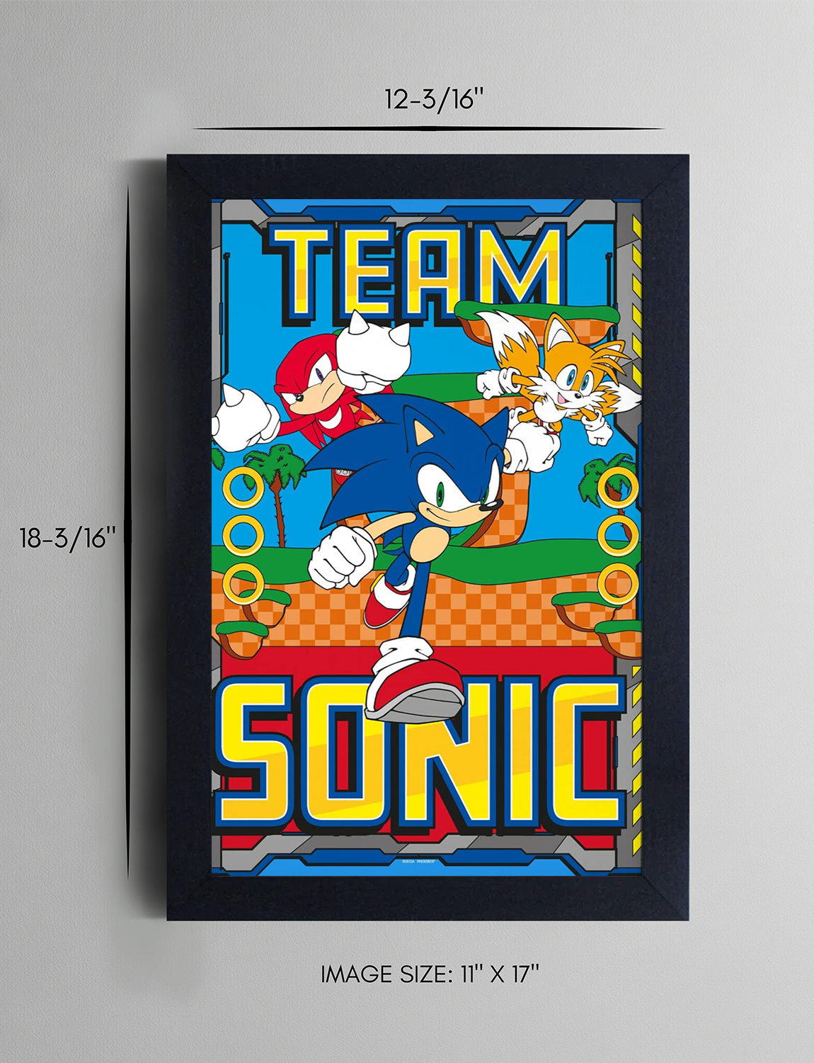 Sonic the Hedgehog™: Framed Wall Art (11x17) - Official Sega Decor - back view