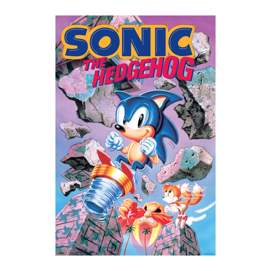 Sonic The Hedgehog - Break Thr - 24x36 Unframed Poster