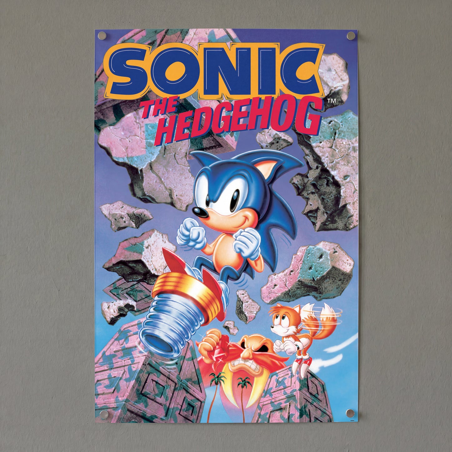 Sonic The Hedgehog - Break Thr - 24x36 Unframed Poster
