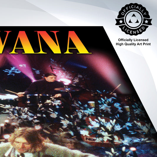 Nirvana - Unplugged - 24x36 Unframed Poster